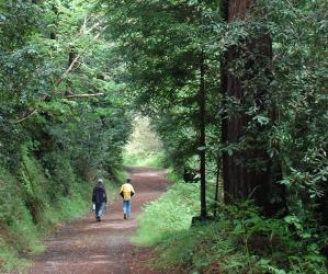 You won't see too many other people at Byrne-Milliron. Photo courtesy: Land Trust of Santa Cruz County.