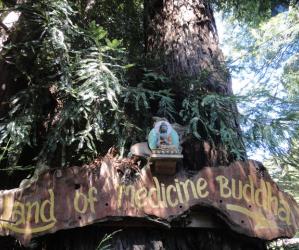 Welcome! Photo by Garrett McAuliffe.