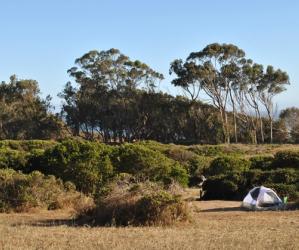Manresa Upland campground has some spectacular sites. Photo by Garrett McAuliffe.