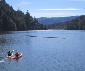 Kayakers set out from the dock on Loch Lomond in the Santa Cruz Mountains. Photo by Hilltromper.