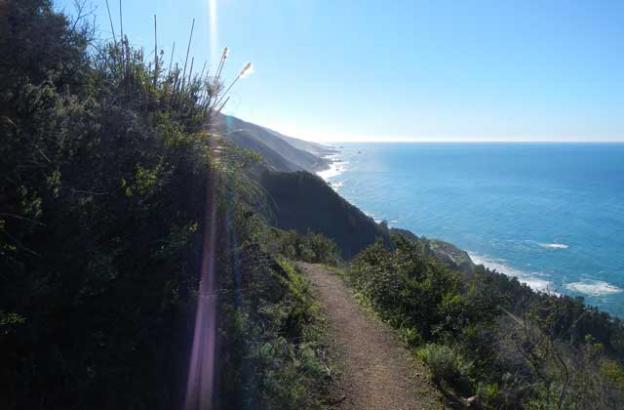 The ocean shines like a gemstone. The land dives headlong into its surface of azure and aquamarine.