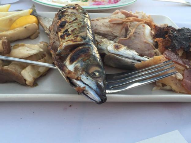 This is a mackerel. Paired with a breathtaking fresh tarragon pesto, it's what's for dinner. Along with some pork that's been grilled over oak all day long. Um...yeah.