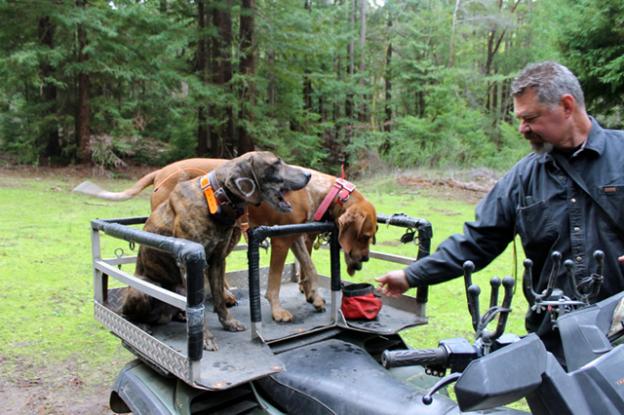 Troy Collinsworth hydrates his dogs after an outing. Brendan Bane photo.