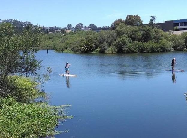 Antonelli Pond, on the Westside of Santa Cruz, was the Land Trust's first conservation project. It's now enjoyed as a dog-walking, fishing and even SUP destination. Photo courtesy Land Trust.