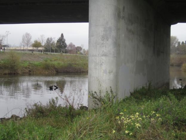Underneath the Soquel Avenue bridge. Hilltromper photo.