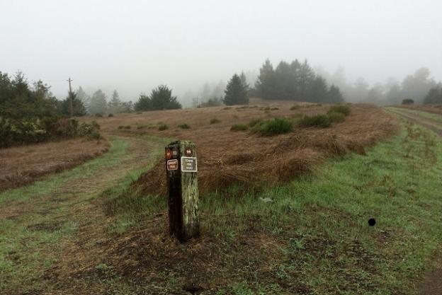 The ridgeline intersection of Brook Trail and Towne Fire Road.