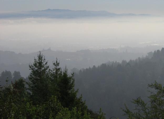 The Byrne-Milliron Forest in Corralitos was sold to Land Trust at a bargain under the condition that it remain a working forest. Land Trust has developed a system of sustainable timber harvest on the property that is the model for limited light-touch logging in San Vicente Redwoods. Photo courtesy Land Trust.