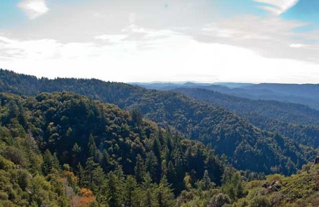 Castle Rock State Park, designated in 1968, forms a vital piece of the Great Park envisioned by Sempervirens Fund. Photo by Phillippe Cohen.