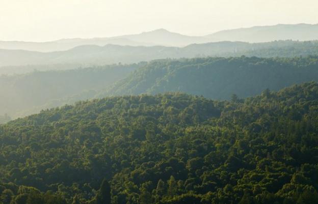 The 8,500-acre Cemex property, acquired in 2011 in a landmark deal between Sempervirens Fund and four other partners, fills in a remarkable piece of the Great Park puzzle. Photo by William Matthias. 