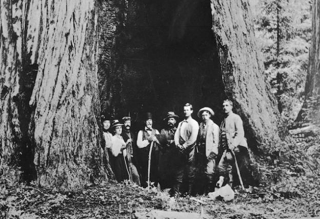 The charter members of the Sempervirens Club at the park. Photo courtesy Sempervirens Fund.