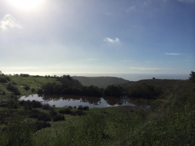 Who doesn't love a pond?