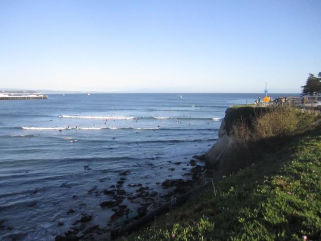 A mob of longboarders on a sunny day at Cowells surf break. Photo credit: Hilltromper