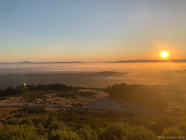 Sunrise from Windy Hill overlooking San Francisco Bay, copyright Eleanor Raab.