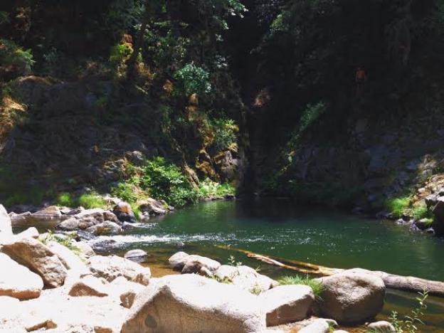 The swimming hole curves around a bend in a gorge in Henry Cowell Redwoods State Park means it's deep enough to jump in here. Photo by Molly Lautamo.