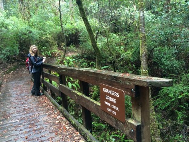 Grangers Bridge crosses Towne Creek at the bottom of Brook Trail Loop.