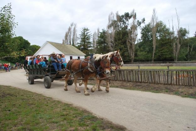 Wagon rides? Alrighty, then! Photo by Peg Danielson.