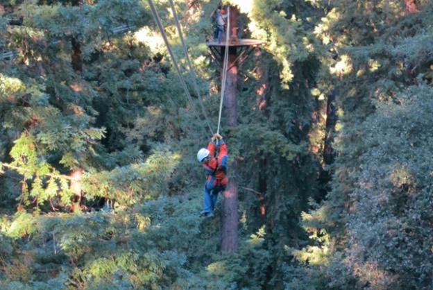 Zip lines offer great views—if you dare look down. Karen Kefauver photo.