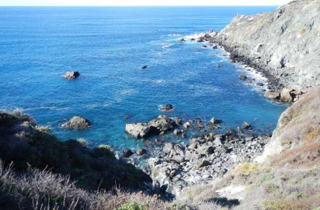 A view of the South Cove from the top of the trail.