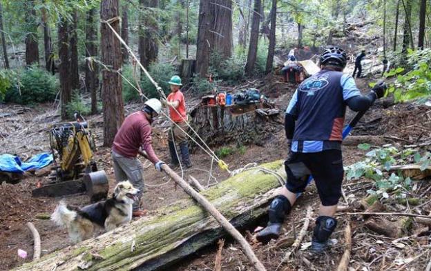 MBoSC on the job in the Soquel Demo Forest. Bruce Dorman photo.