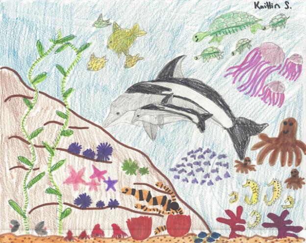 Honorable mention: "Marine Life" by Kaitlin Schmauch, grade 5, Mar Vista Elementary in Aptos