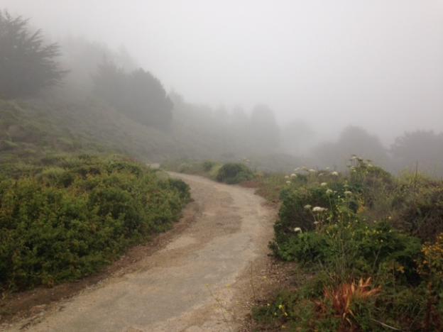 Up, up and away ... fog keeps things cool, at least. Clark Tate photo.