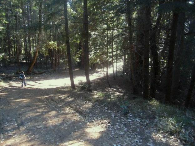 Zippity doo-dah ... Cruising down Middle Ridge Fire Road. Hilltromper photo.