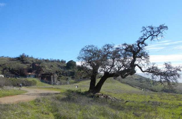 The Hanging Tree with Rotary Furnace in the background.