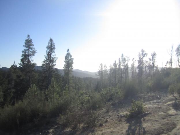 Looking west from Ocean View Summit in Big Basin State Park. Photo by Hilltromper.