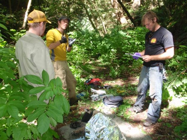 Biologists Paul Houghtaling (center) and Chris Fust (right) prepare to assess a sedated puma, muzzled and covered in mylar at bottom. Photo courtesy Troy Collinsworth.