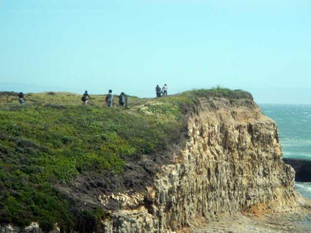 The PVHS posse on the cliffs above the beach at Wilder Ranch State Park. Carmen Hsu photo.