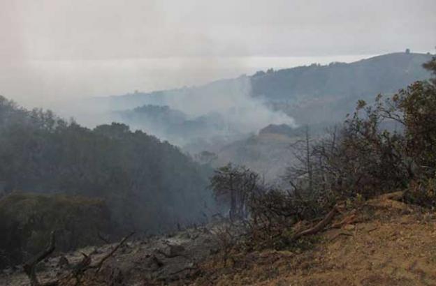 Dec. 17: View from Pfeiffer Ridge this morning, looking across to Clear Ridge.