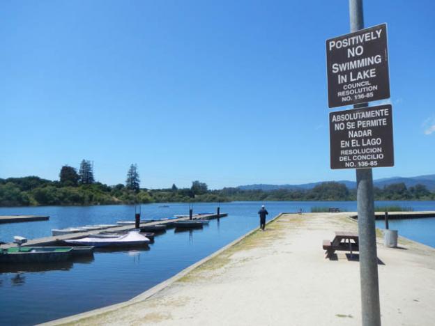 Thanks to potentially fatal toxic algae blooms, swimming in Pinto Lake is firmly discouraged.