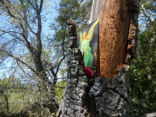 A psychedelic angel is nailed to the holy oak.