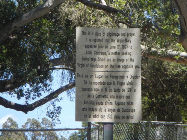 The Virgin of Pinto Lake shrine is legit.