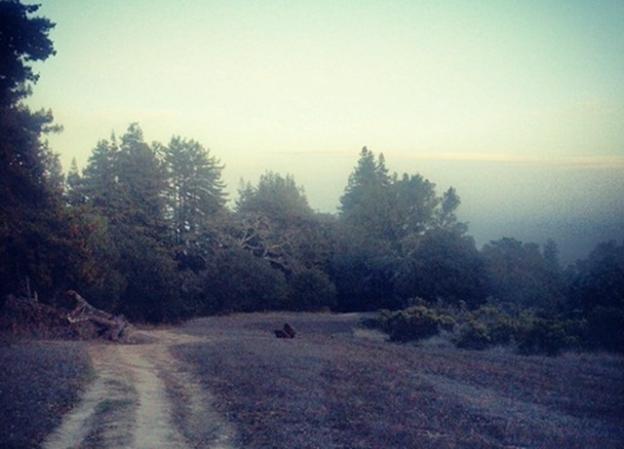 Autumn view of Lookout Trail from the junction with Spring Trail. Hilltromper photo.