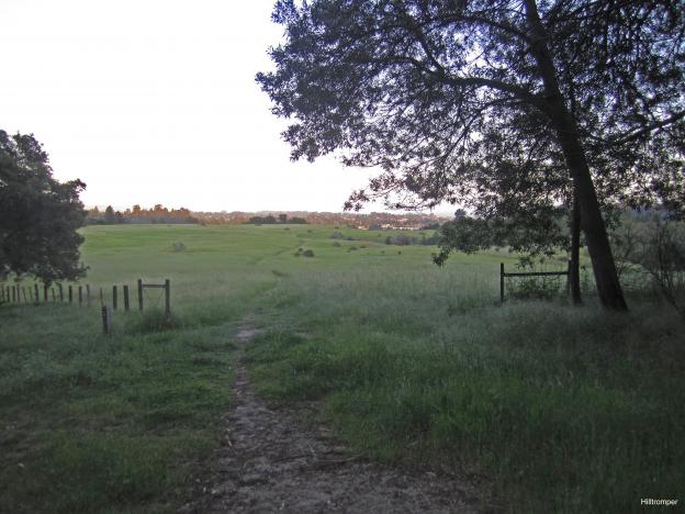Prairie Trail splits off Brayshaw and heads for the open country. Photo credit: Hilltromper.