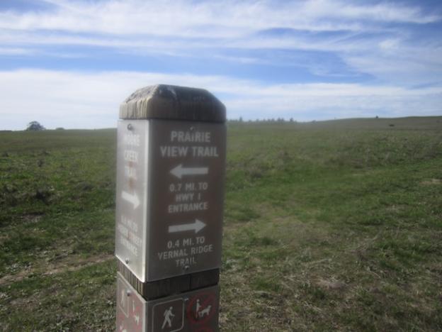 The signposts look surreal in spring, when growth is low, but in summertime they make a lot more sense.  Hilltromper photo.