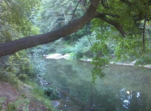 The San Lorenzo River viewed from the River Trail just before the train trestle. Hilltromper photo.