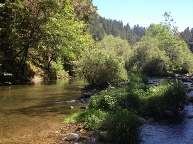Shallower areas nearby are good for wading or exploring. Photo by Molly Lautamo.
