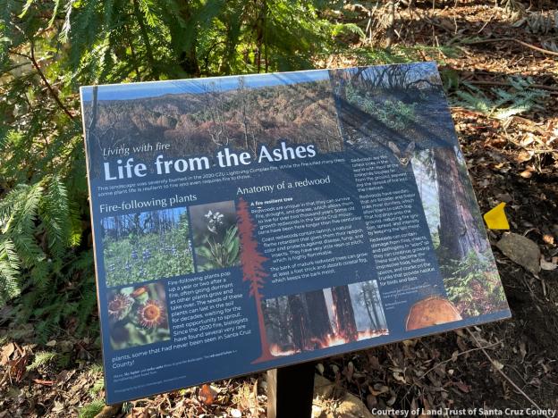 Interpretive sign commemorates the CZU Fire in 2020. Credit Land Trust of Santa Cruz County