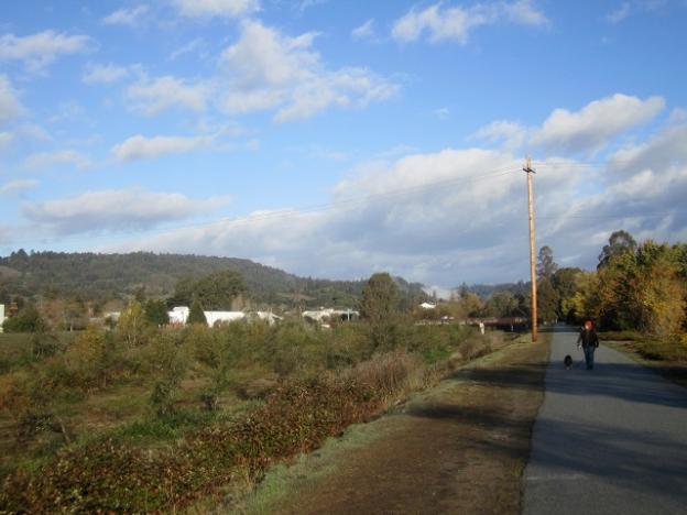 A woman walks her dog along the river levee in early December. Hilltromper photo.