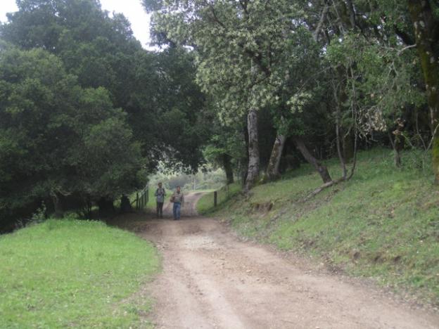 Hikers enjoy the scenery on a Star Creek Ranch Adventure day. Hilltromper photo.
