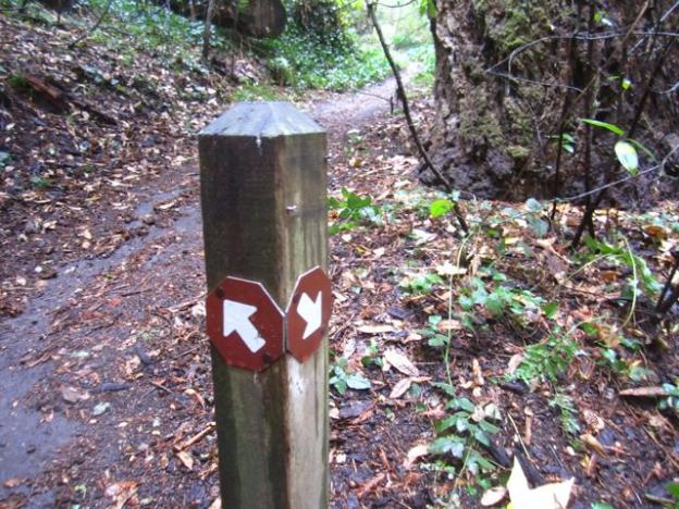 A minimally helpful trail sign.  Hilltromper photo.