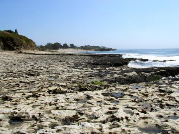 The view looking back towards Natural Bridges from the tide pools is deceptively empty of sea creatures. 