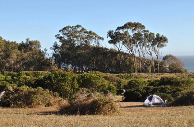 Manresa Upland campground has some spectacular sites. Photo by Garrett McAuliffe.