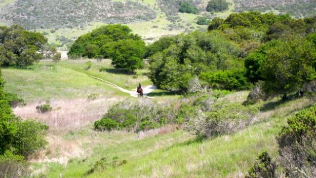 Wilder Ranch has 34 miles of hiking, biking and equestrian trails on 7,000 acres.