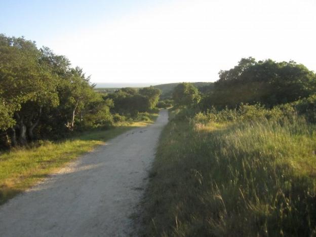 Classic view from a Wilder Ranch fire road. Photo credit: Hilltromper.