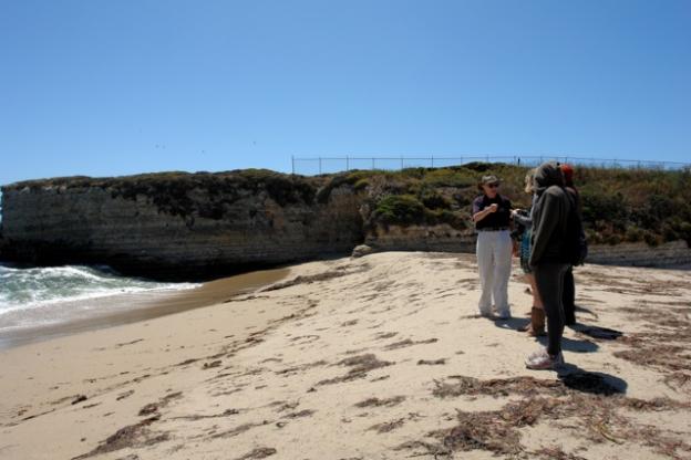Our tour comes to a halt on the berm to observe the shorebirds. 