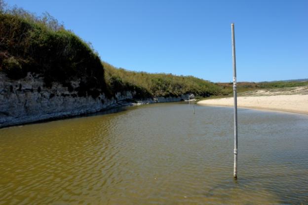 Tall rods measure the salinity levels in the brackish lagoon.