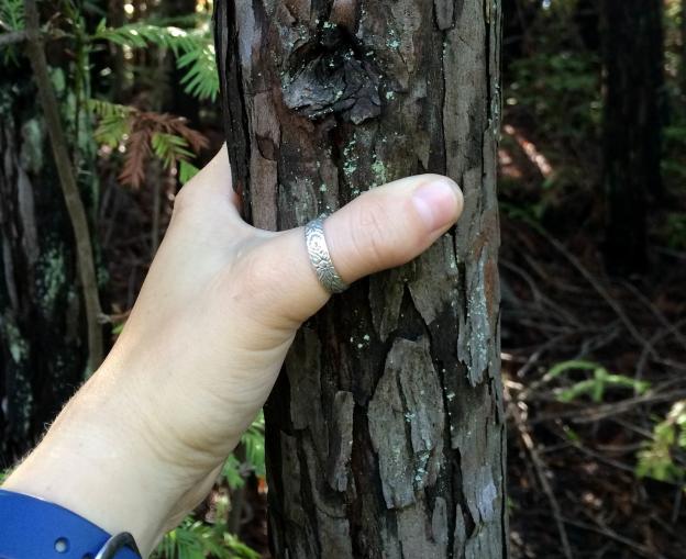 The trees' trunks are very slender.